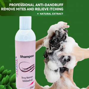 Deep Moisture Anti Dandruff Shampoo