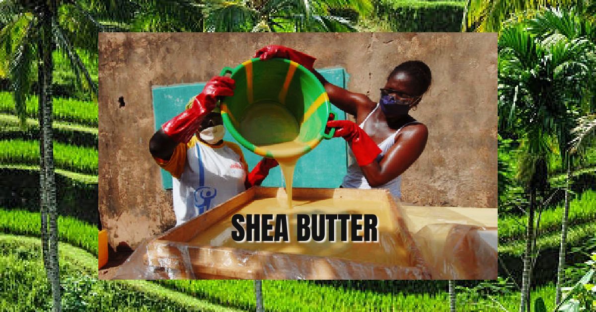 Trying the Best Product for My Natural Glowing Hair – Shebah’s Guide